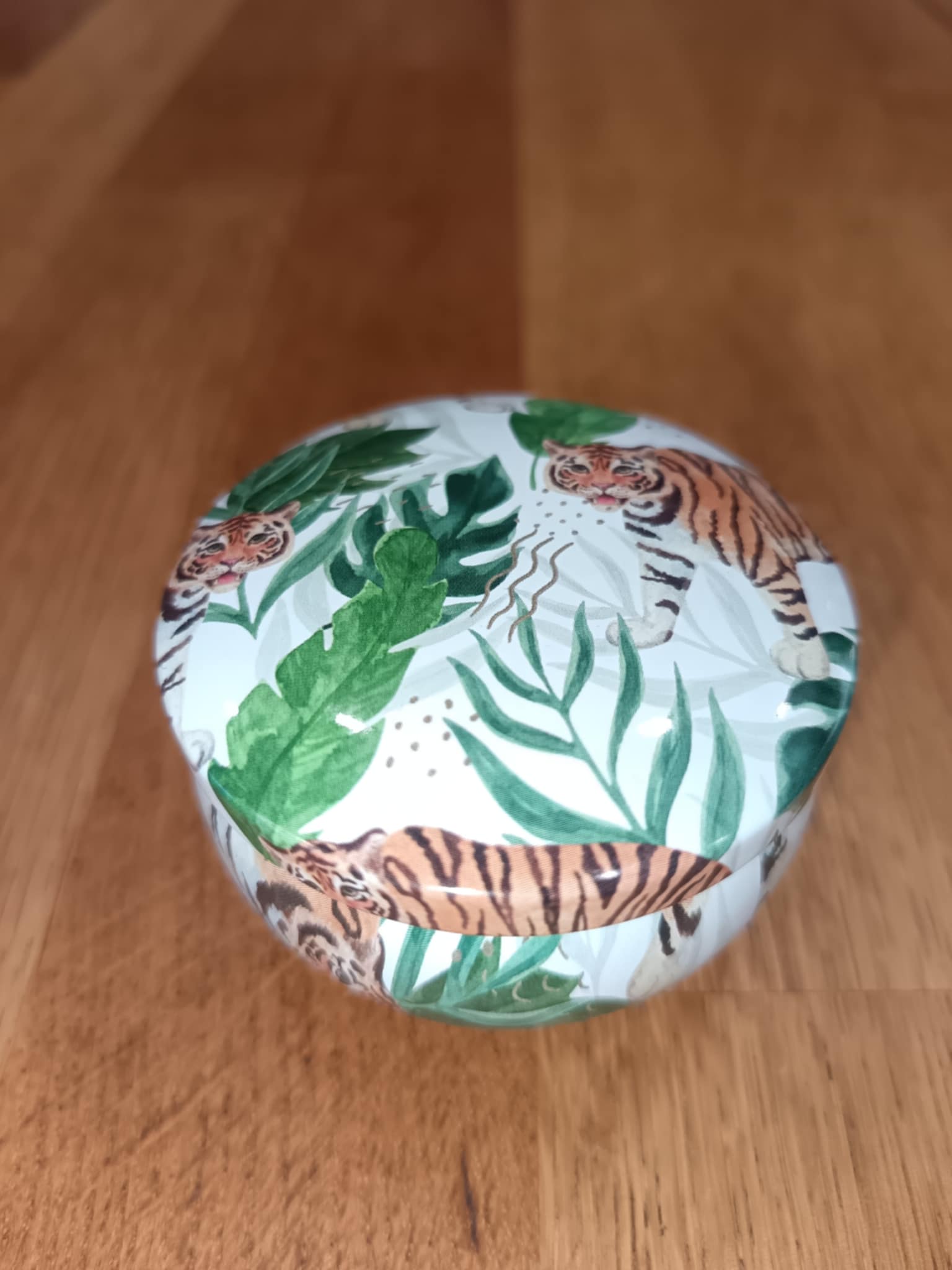 Roi de la Jungle