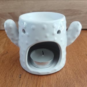 Brûle-Fondant Douceur Cactus blanc