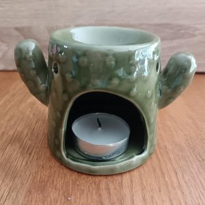 Brûle-Fondant Douceur Cactus vert