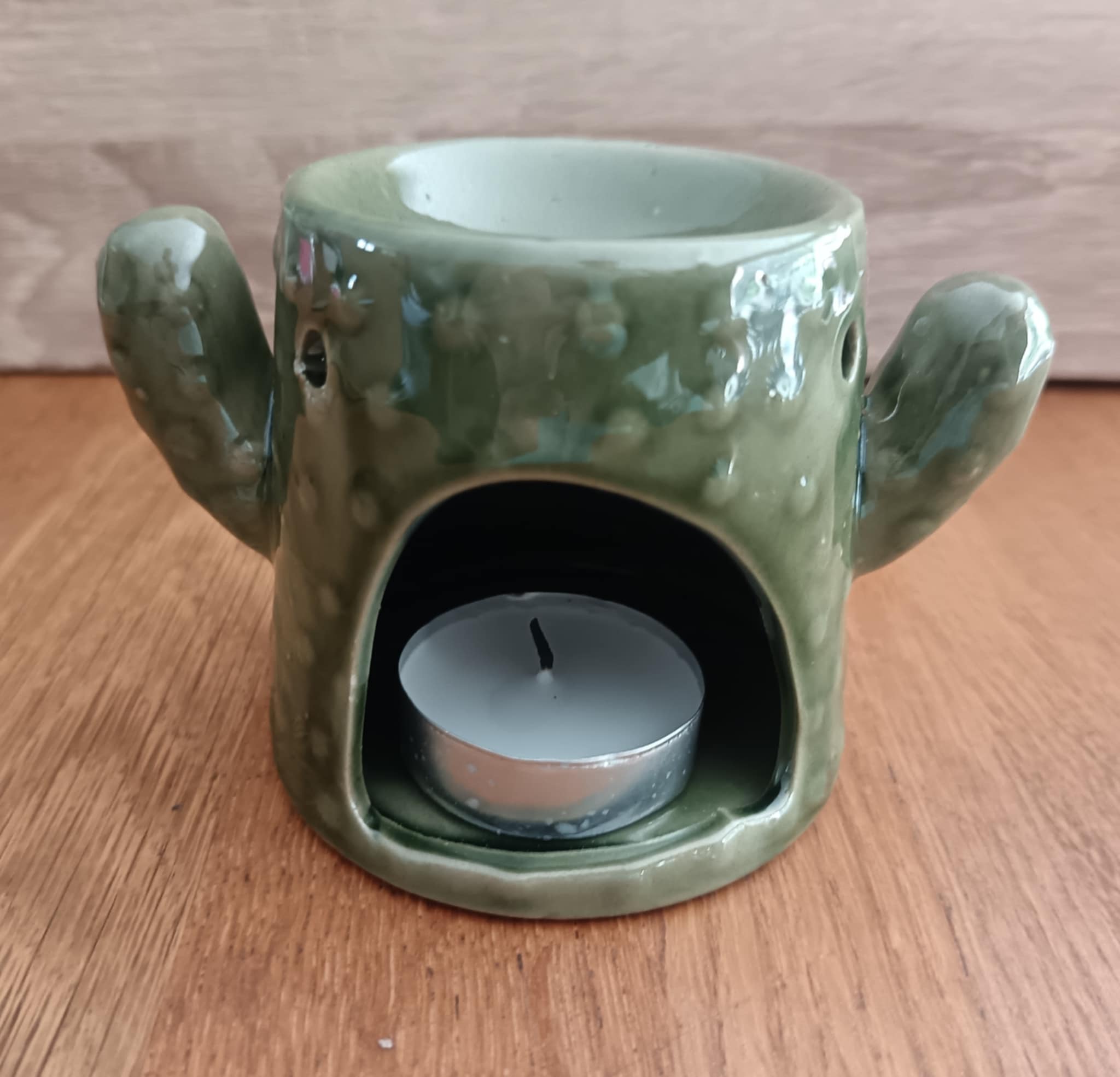 Brûle-Fondant Douceur Cactus vert