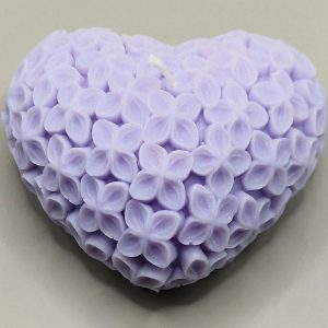 Cœur Fleuri Lumineux