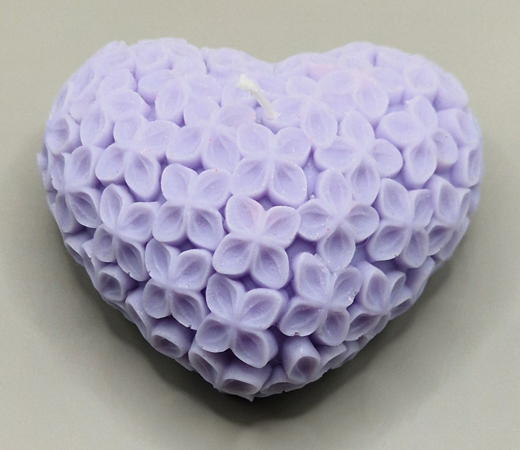 Cœur Fleuri Lumineux