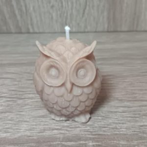 Le Petit Hibou Mignon