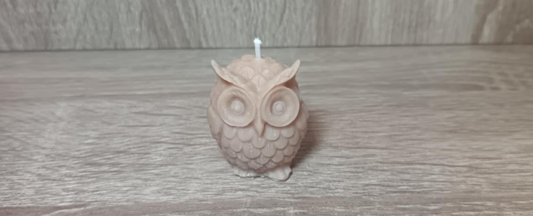Le Petit Hibou Mignon