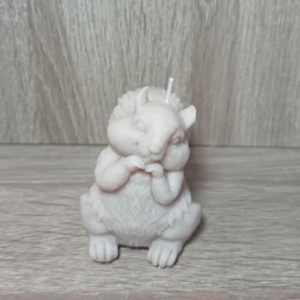 Animaux