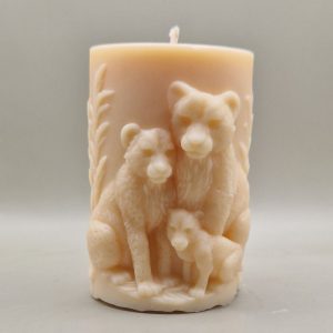 Tendresse Féline